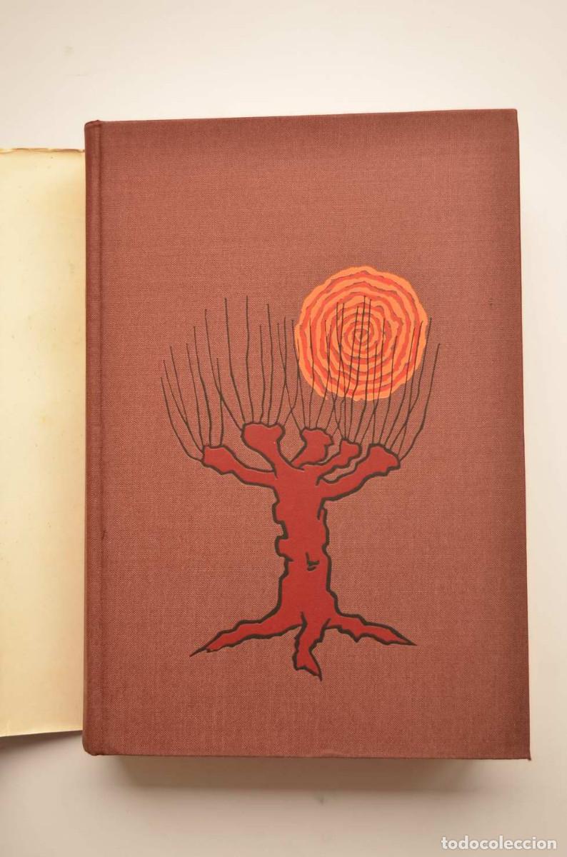 Libros: Los pacientes - THORWALD, J&uuml;rgen - Foto 2