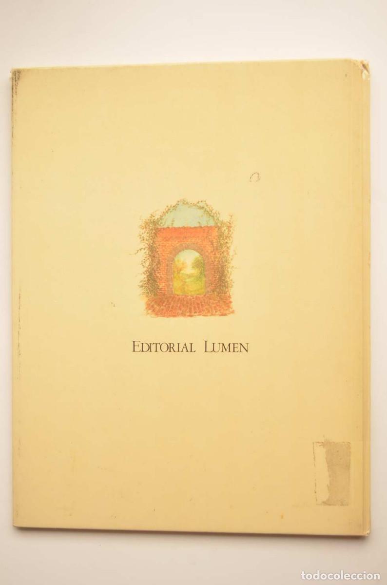Libros: El drag&oacute;n de los cien ojos - POSTMA, Lidia - Foto 5
