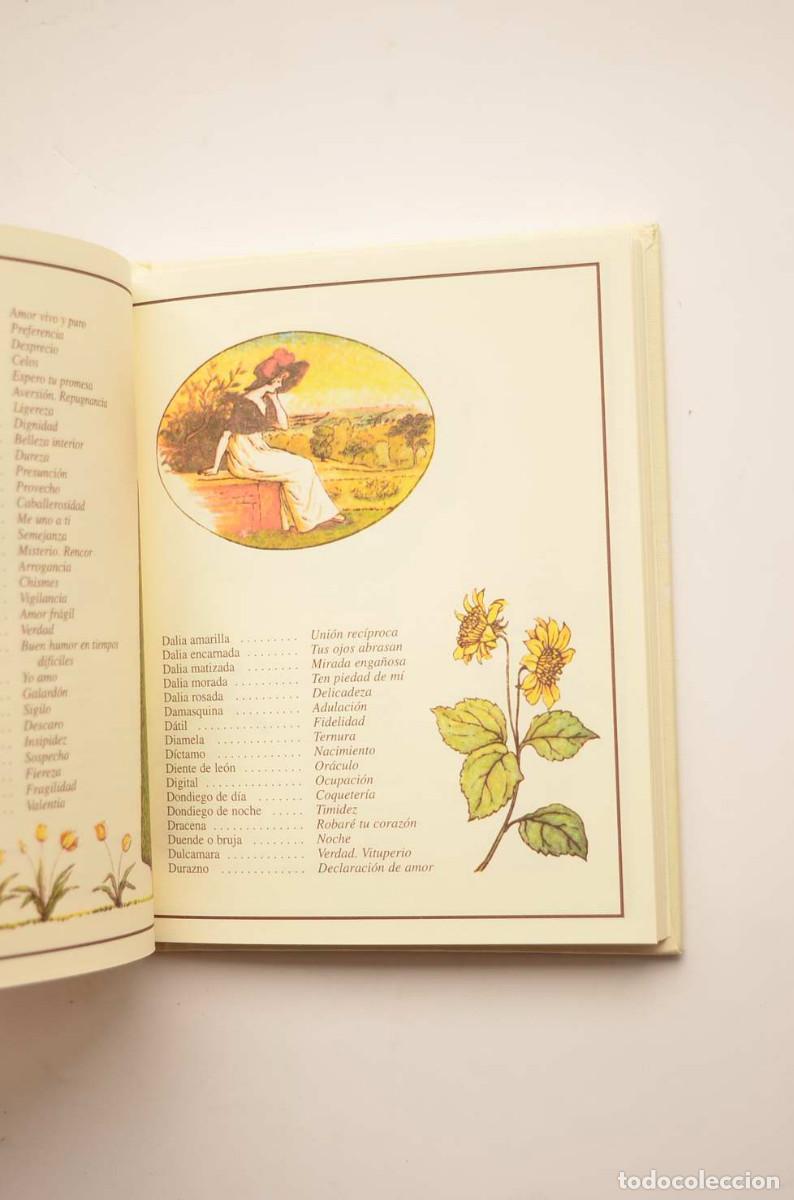 Libros: El lenguaje de las flores - GREENAWAY, Kate - Foto 3
