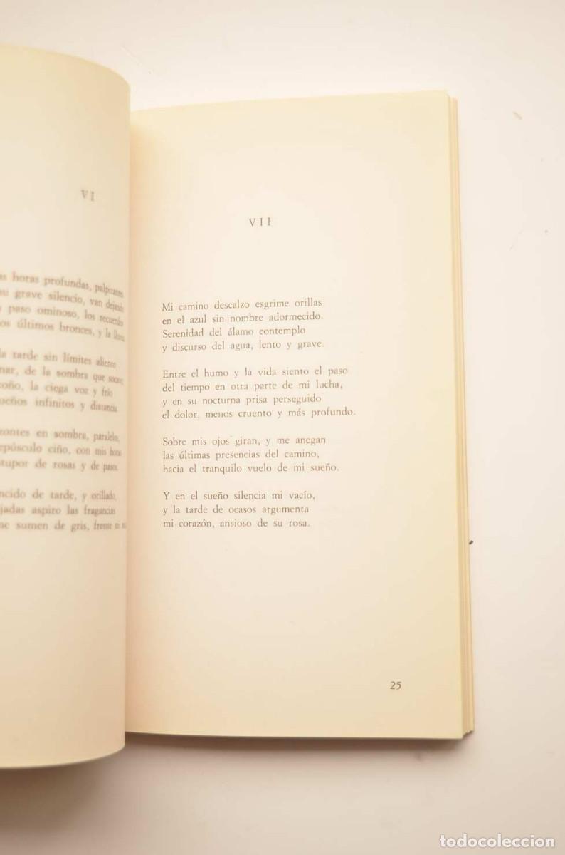 Libros: A la desnuda vida creciente de la nada - C&Aacute;NOVAS MART&Iacute;NEZ, Jes&uacute;s - Foto 3