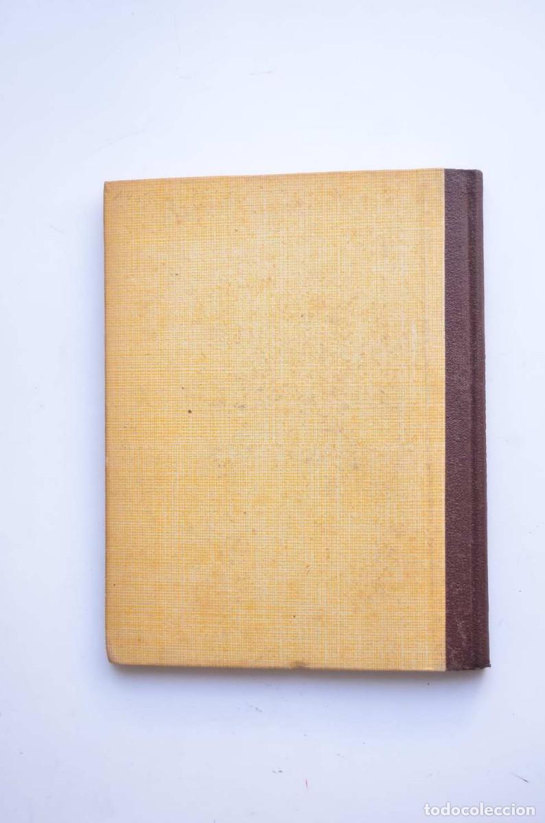 Libros: Vida de Madame Curie - MORALES, Mar&iacute;a Luz - Foto 3