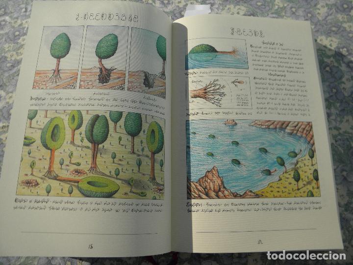 Libros: Libro Codex Seraphinianus, Luigi Serafini, Rizzoli New York, sexta edici&oacute;n 2014 - Foto 3