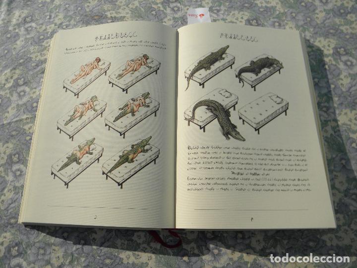 Libros: Libro Codex Seraphinianus, Luigi Serafini, Rizzoli New York, sexta edici&oacute;n 2014 - Foto 4