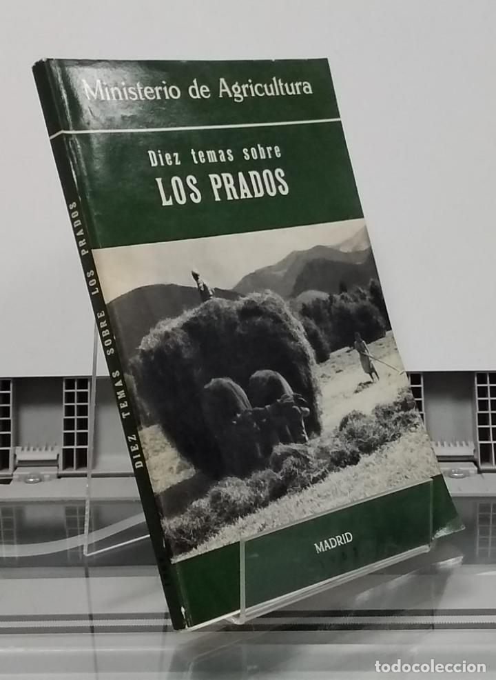 Libros: Diez temas sobre los prados - vvaa - Foto 1