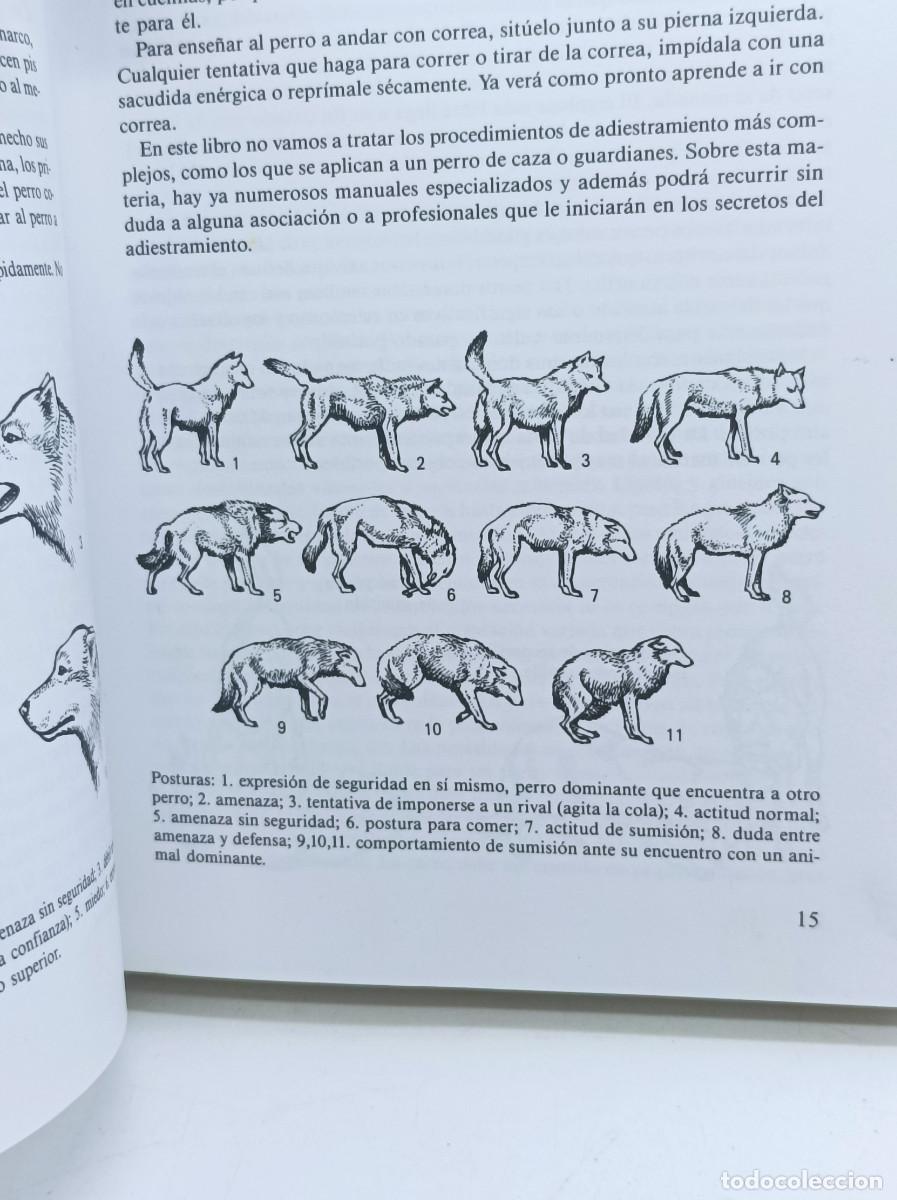 Libros: PERROS- SUSAETA - Foto 3