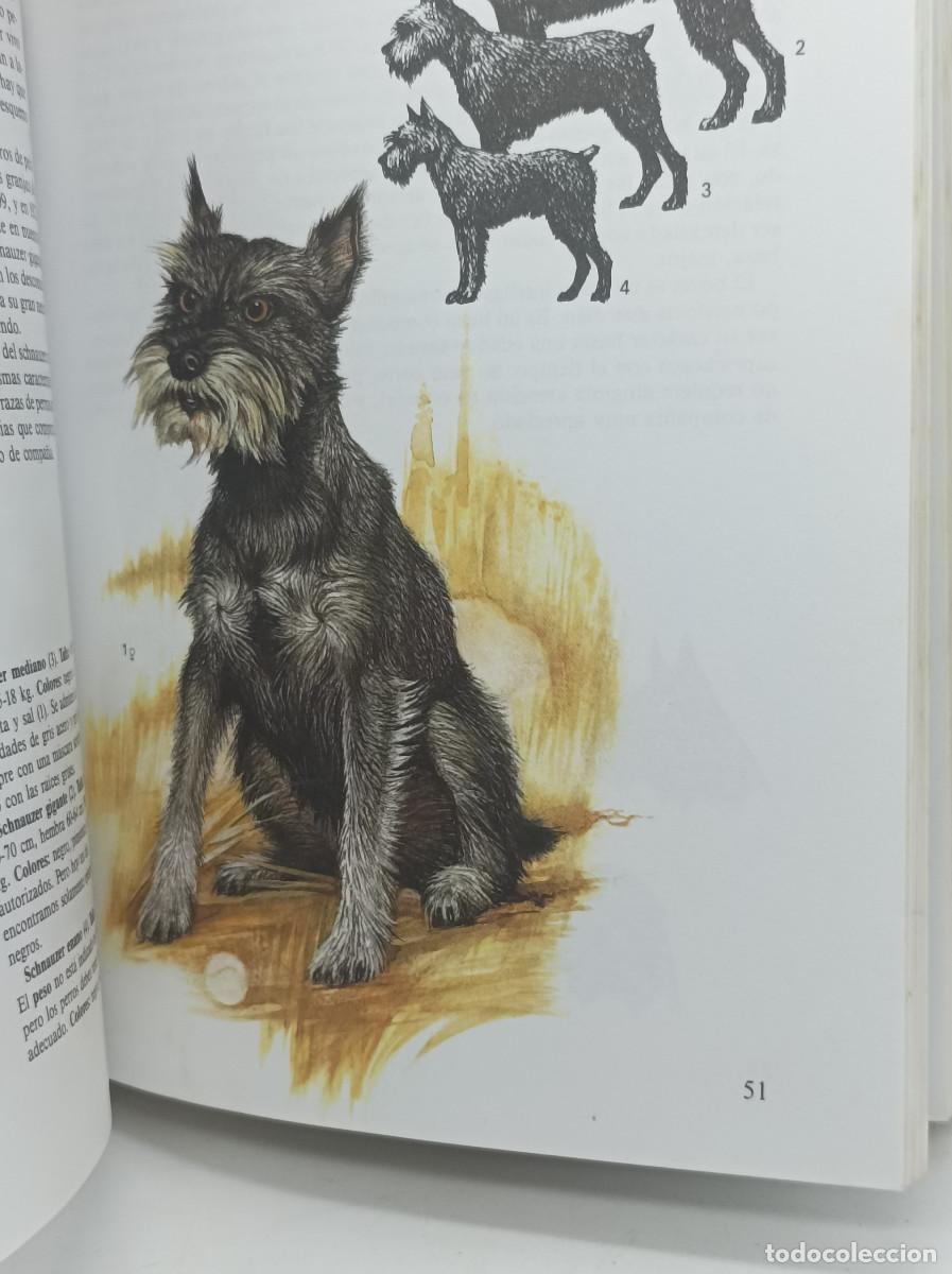 Libros: PERROS- SUSAETA - Foto 5