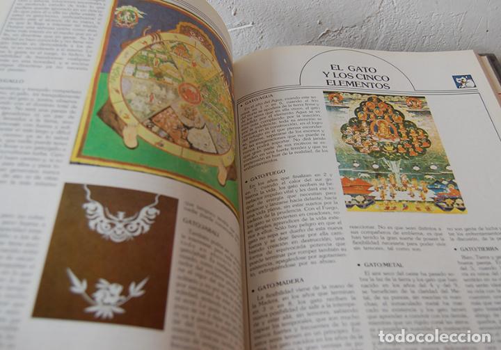 Libros: ASTROLOG&Iacute;A CHINA - EQUIPO EDITORIAL - Foto 2