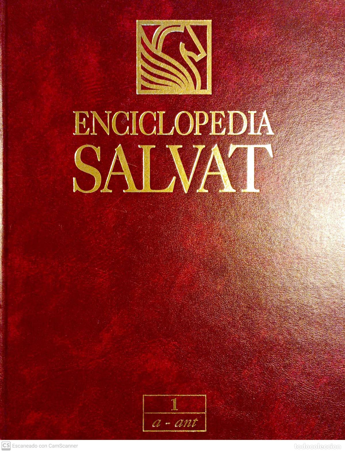 Libros: Enciclopedia Salvat - Francesc Navarro - Foto 1