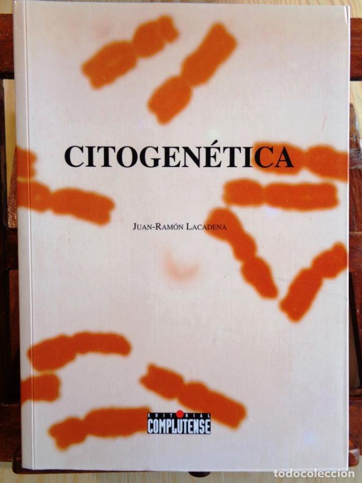 Libros: CITOGEN&Eacute;TICA - JUAN-RAM&Oacute;N LACADENA - Foto 1
