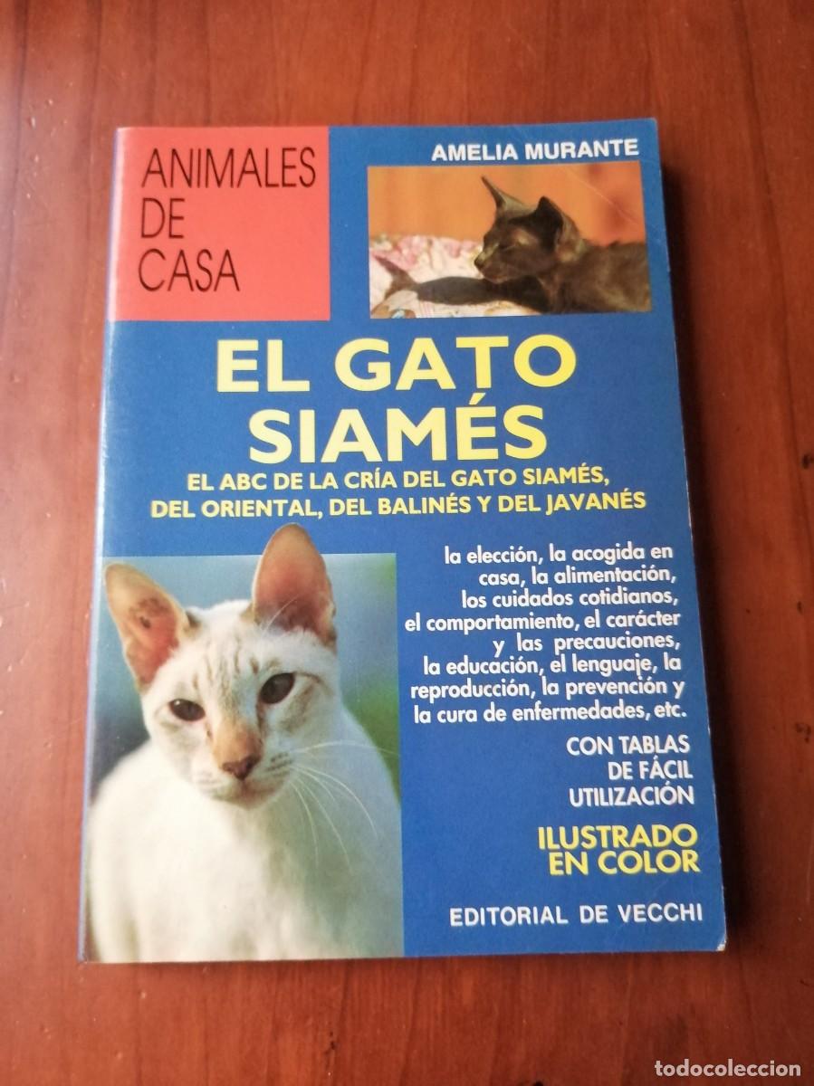 Libros: libro EL GATO SIAMES ANIMALES DE CASA