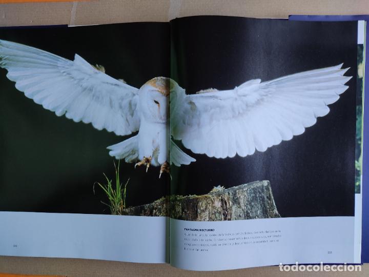 Libros: LIBRO AVES RAPACES PAUL D. FROST A&Ntilde;O 2007 - Foto 2