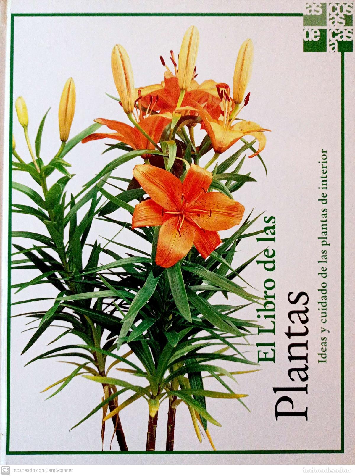 Libros: El libro de las plantas - Laura Manzanera - Foto 1
