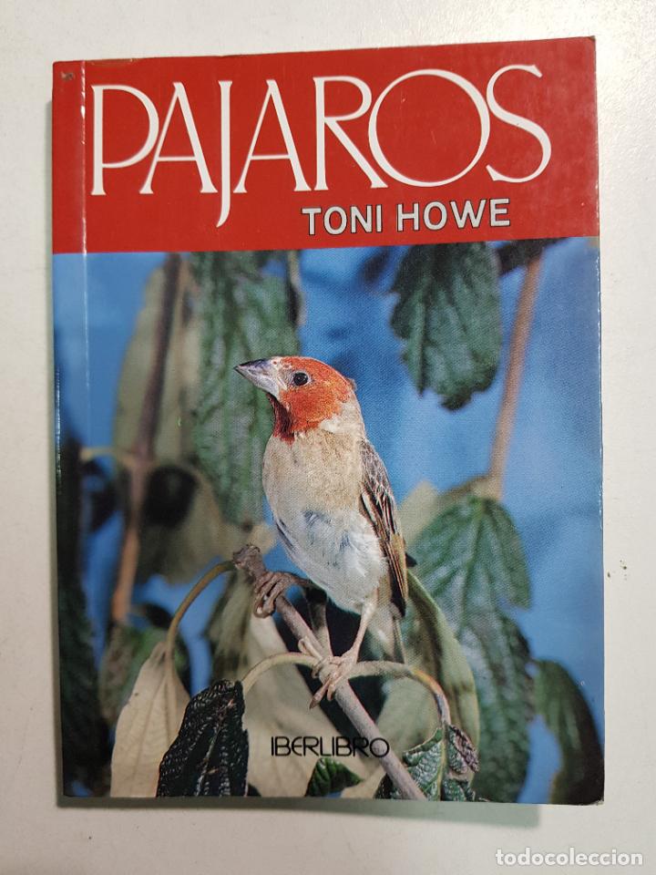 Libros: PAJAROS / Howe Toni - Foto 1