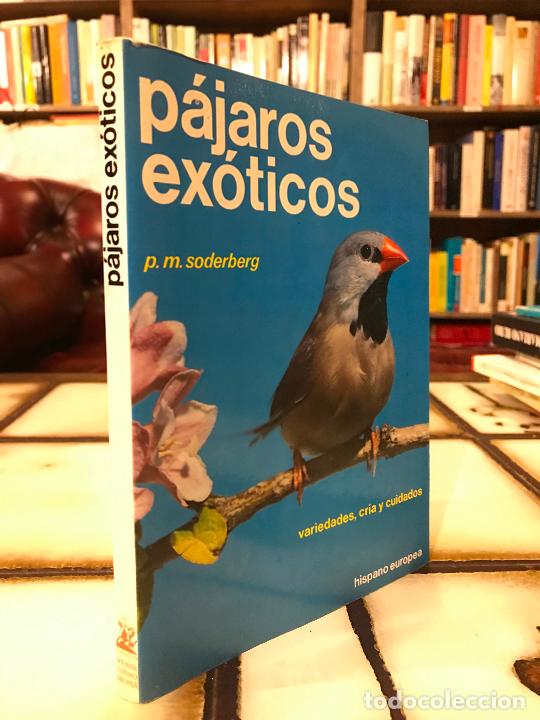 Libros: P&aacute;jaros ex&oacute;ticos. P. M. Soderberg. PEDIDO M&Iacute;NIMO 5&euro; - Foto 1