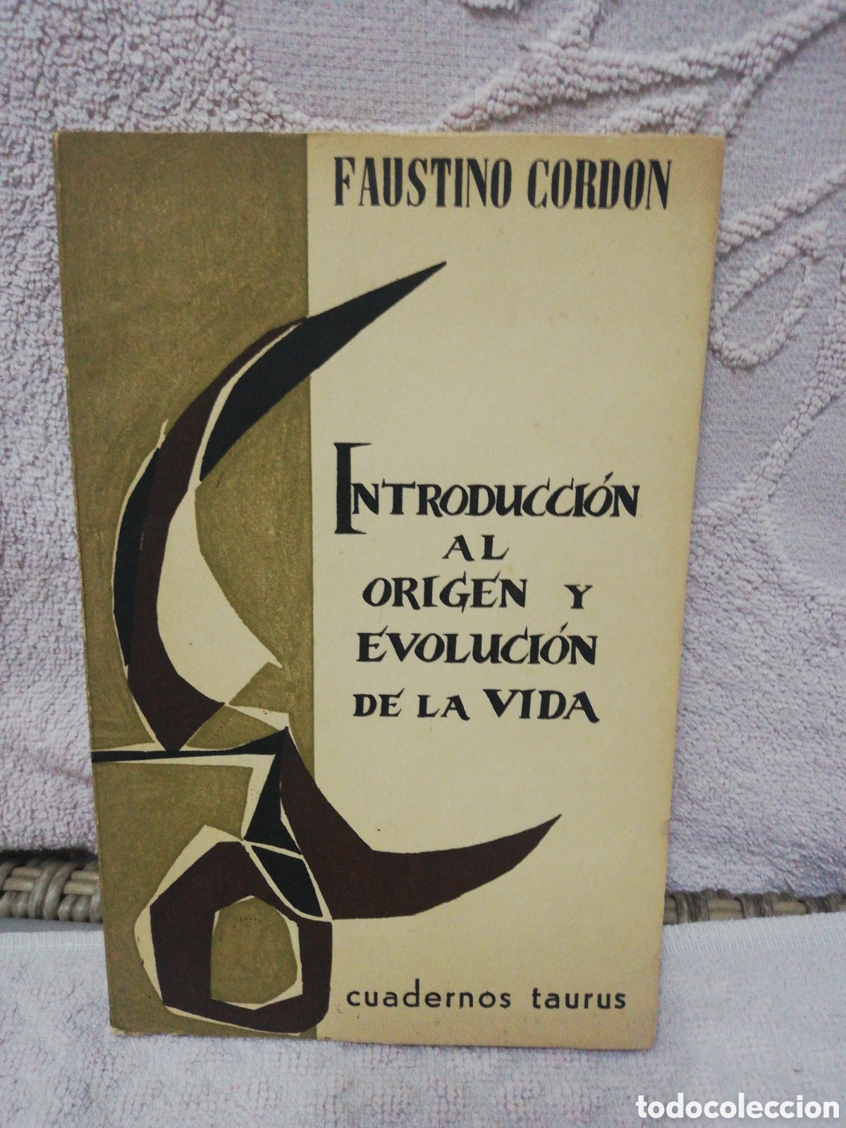 Libros: Faustino cord&oacute;n - introducci&oacute;n al origen y evoluci&oacute;n de la vida - cuadernos Taurus 1958 - Foto 1