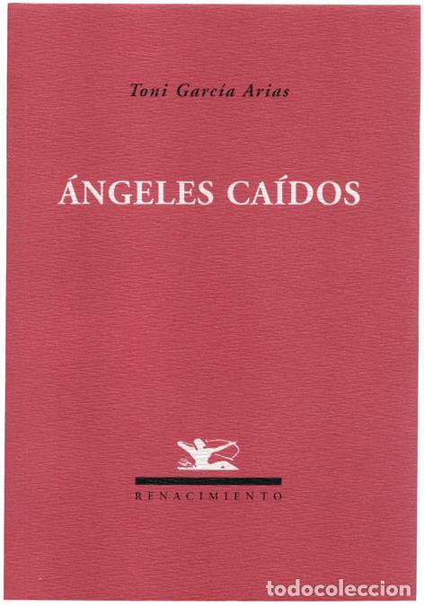 Libros: &Aacute;ngeles ca&iacute;dos - Garc&iacute;a Arias, Toni - Foto 1