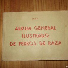 Libros: ALBUM GENERAL ILUSTRADO DE PERROS DE RAZA. DOGS PARK- TARRAGONA. 80 PÁGS. DECONOZCO AÑO.. Lote 381847219
