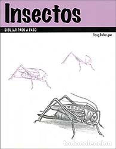 Libros: INSECTOS Dibujar paso a paso - Du Bosque,Doug - Foto 1