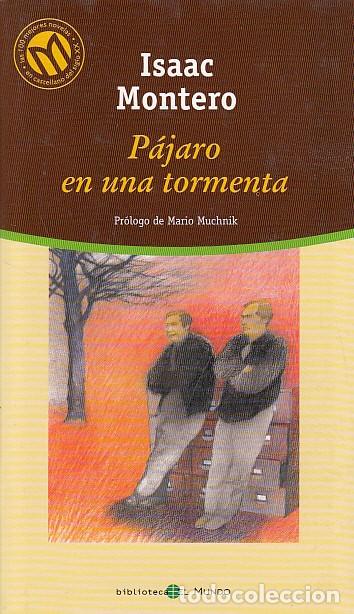 Libros: PAJARO EN UNA TORMENTA - MONTERO, ISAAC - Foto 1