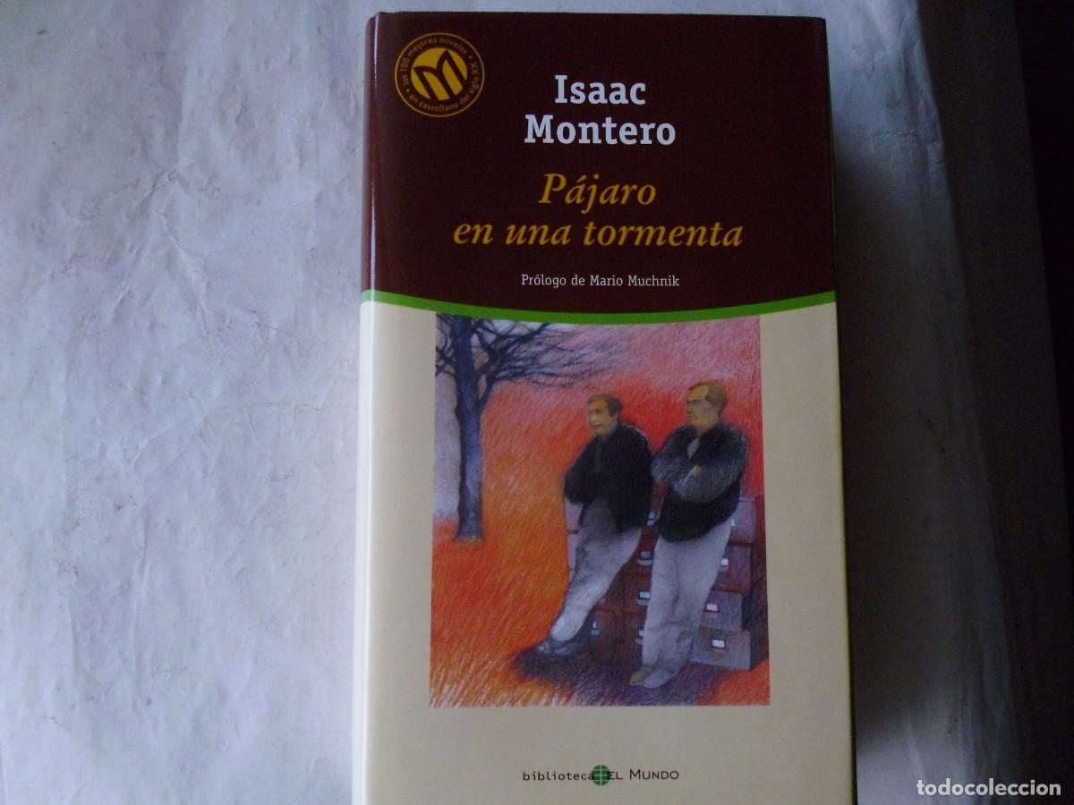 Libros: P&Aacute;JARO EN UNA TORMENTA - ISAAC MONTERO - Foto 1