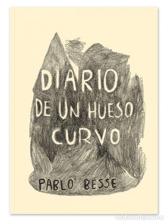 books: BESSE, Pablo. - Diario de un hueso curvo.