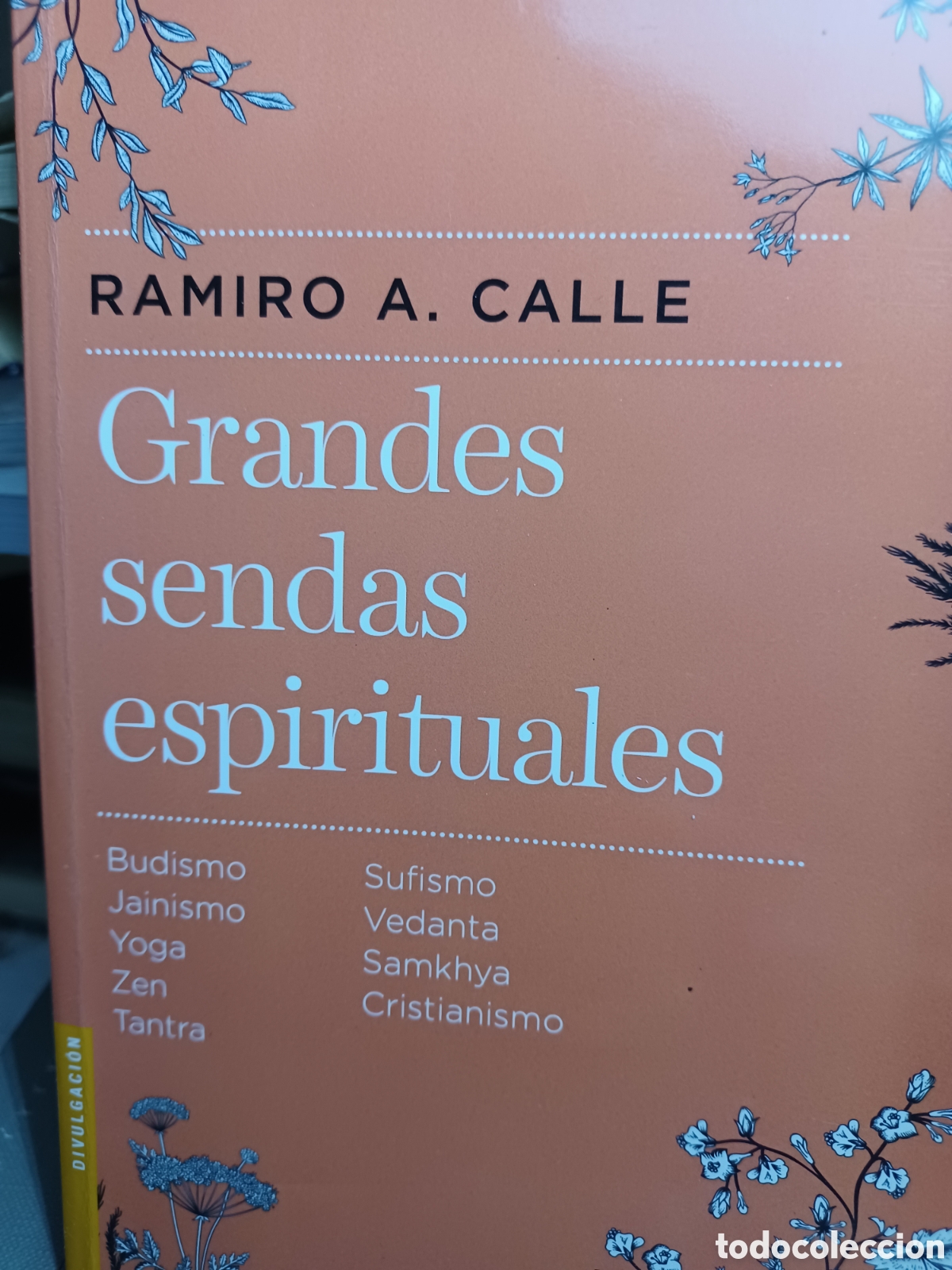 Libros: Barybook C62. Grandes sendas espirituales Ramiro A.calle - Foto 1