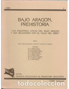 Libros: BAJO ARAG&Oacute;N PREHISTORIA V 1985 - Varios autores