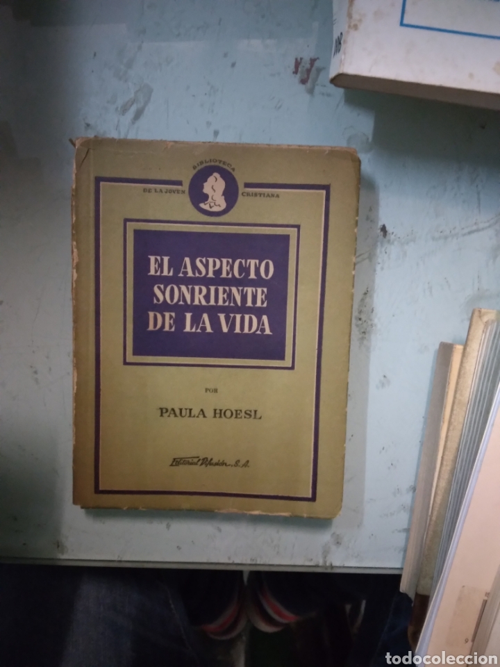 Libros: Paula Hoesl, El aspecto sonriente de la vida - Foto 1