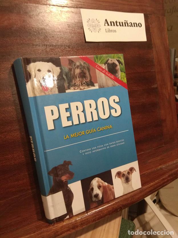 Libros: Perros La mejor gu&iacute;a canina - Foto 1