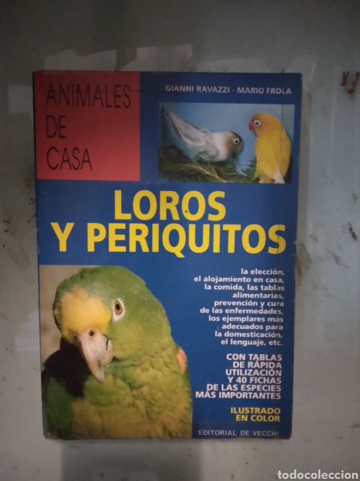 Libros: Loros y periquitos, Gianni Ravazzi, Editorial Vecchi - Foto 1