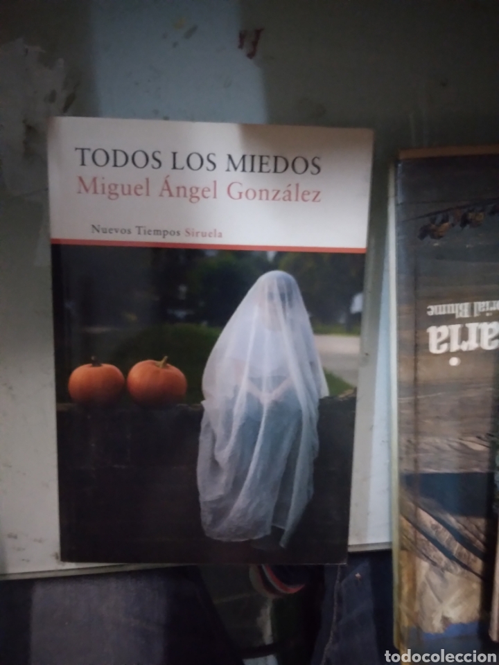 Libros: Miguel Angel Gonz&aacute;lez, Todos los.miedos - Foto 1