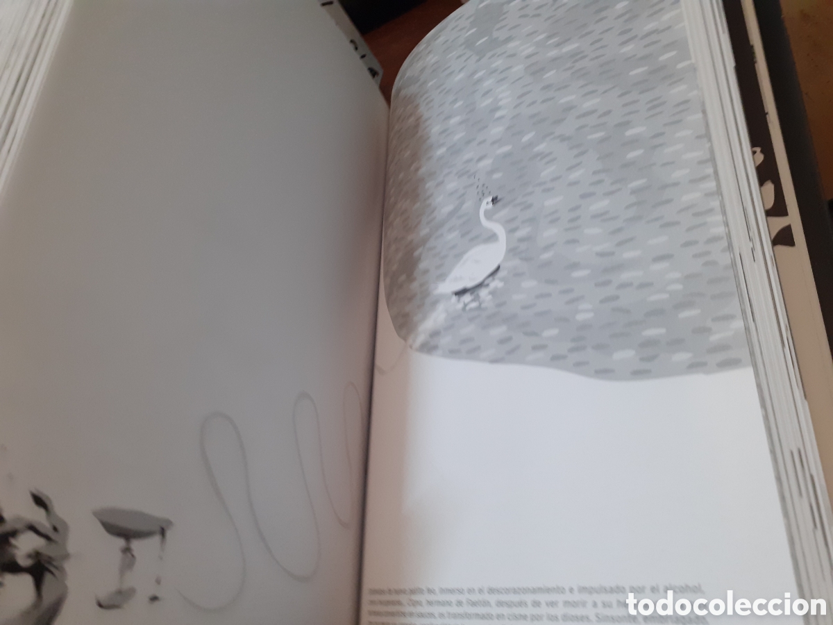 Libros: SINSONTE - ESCANDELL,Victor - Foto 9