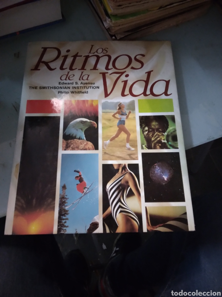 Libros: Edwards S.Ayensu, Los ritmos de la vida - Foto 1