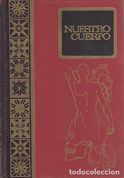 Libros: NUESTRO CUERPO - CASTELL&Oacute; ROCA, AUGUSTO - Foto 1