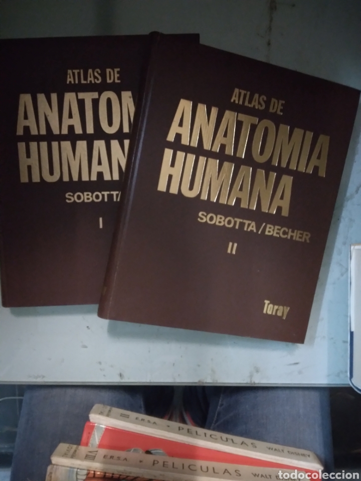 Libros: Sobotta/Becher, Anatom&iacute;a humana, 2 tomos, Toray, - Foto 1