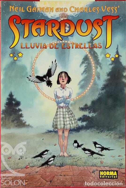 Libros: Stardust. Lluvia de estrellas - Neil Gaiman / Charles Vess - Foto 1