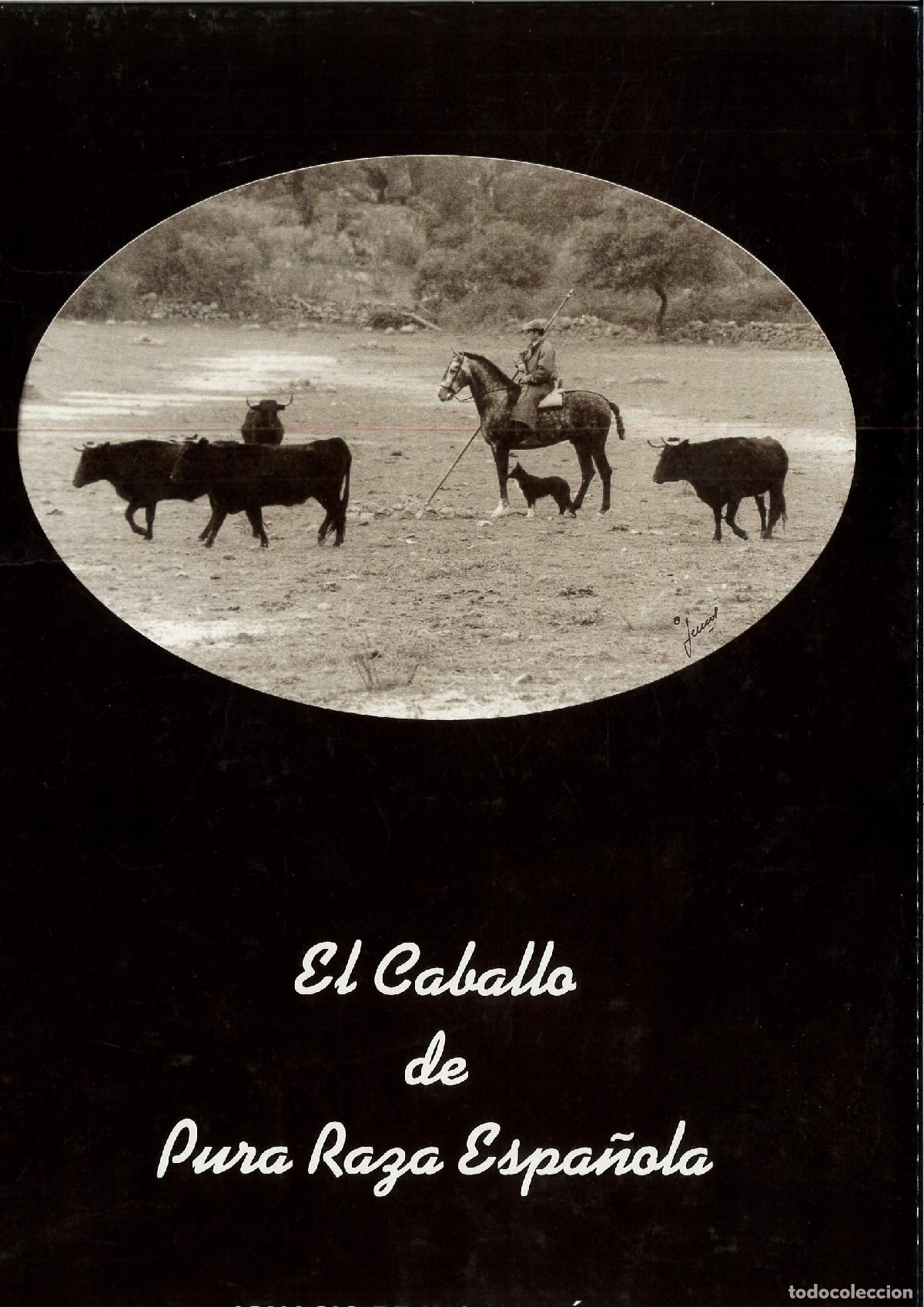 Libros: EL CABALLO DE PURA RAZA ESPA&Ntilde;OLA - IGNACIO BRAVO MART&Iacute;NEZ - Foto 1