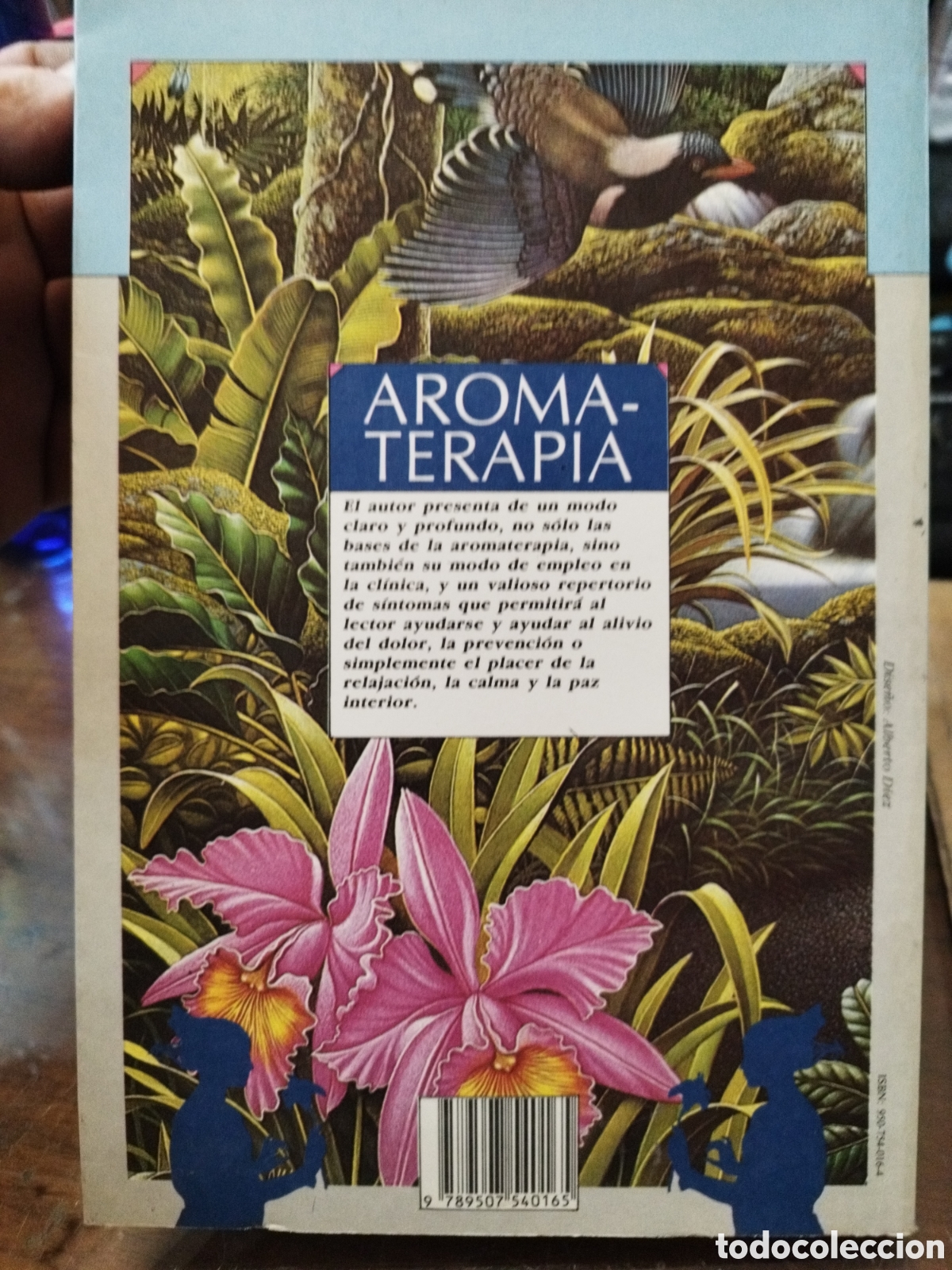 Libros: AROMATERAPIA. Manual pr&aacute;ctico y cl&iacute;nico - SALOMONE,Pablo - Foto 2