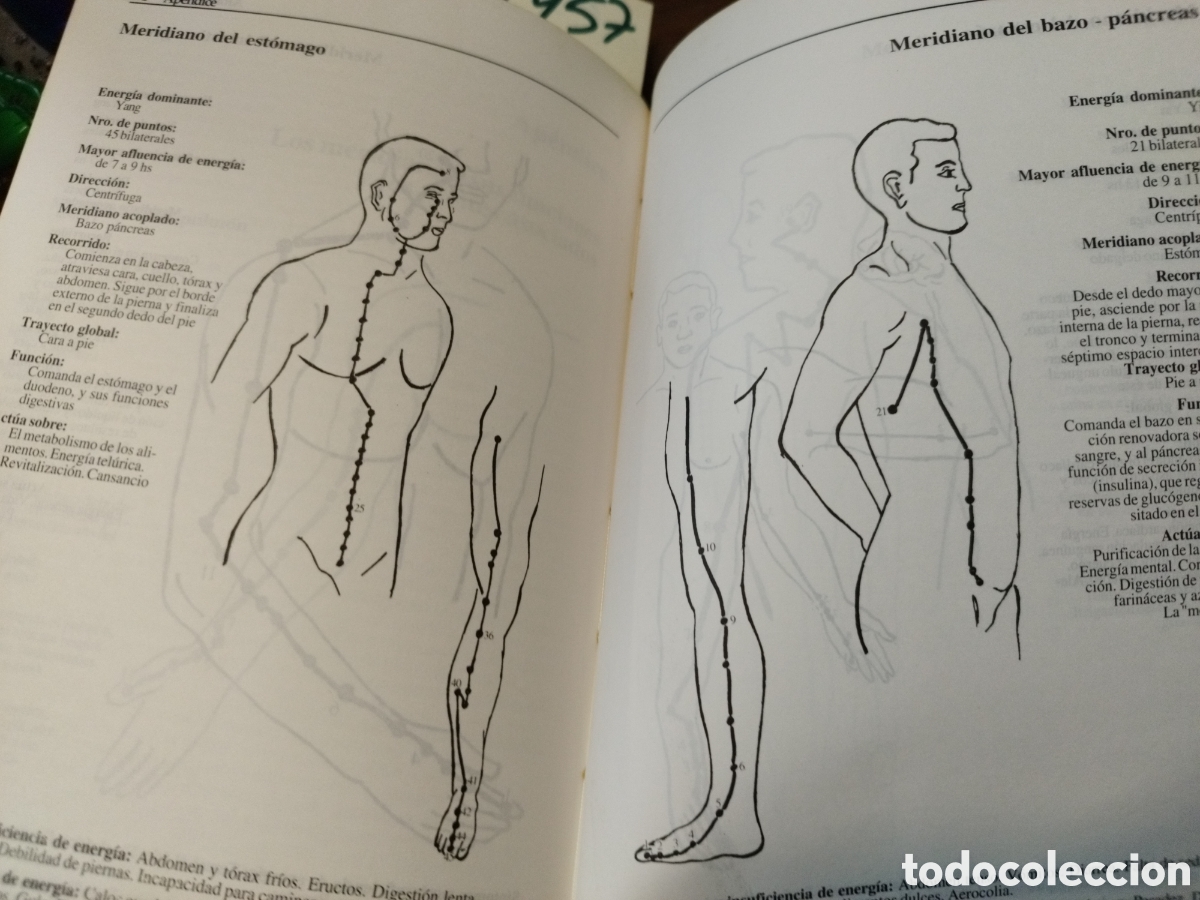 Libros: AROMATERAPIA. Manual pr&aacute;ctico y cl&iacute;nico - SALOMONE,Pablo - Foto 6