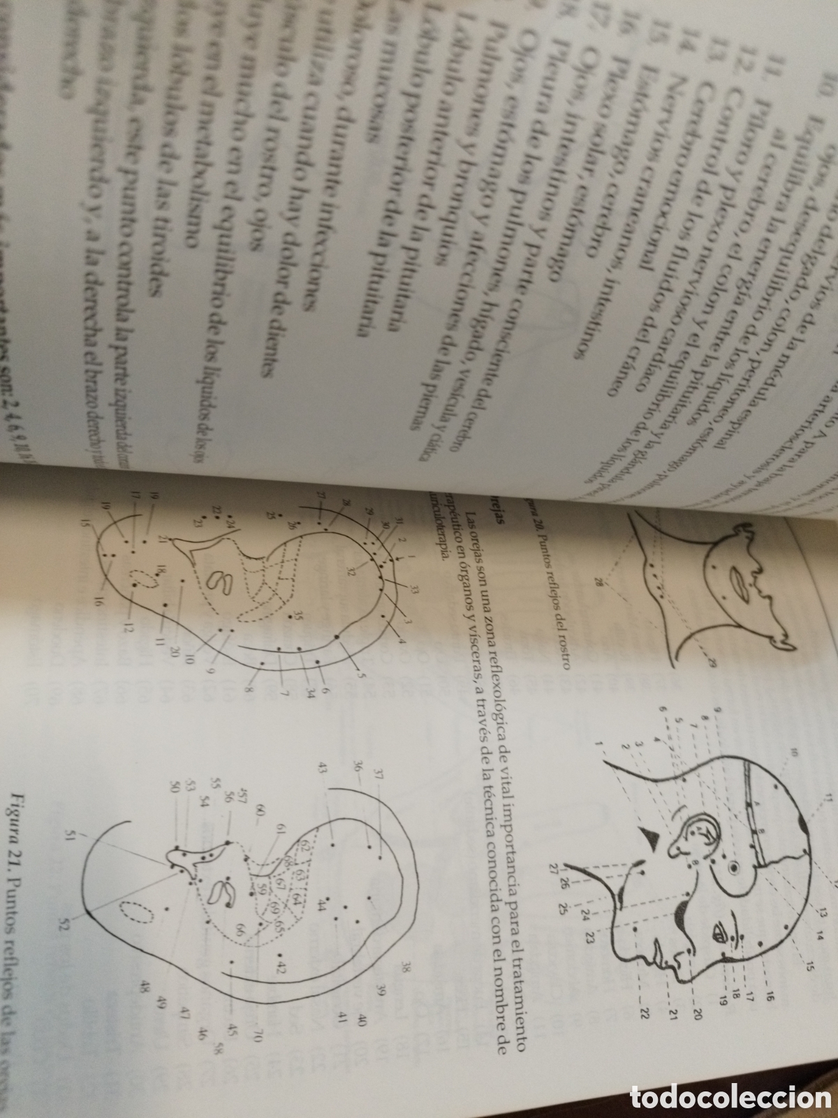 Libros: AROMATERAPIA. Manual pr&aacute;ctico y cl&iacute;nico - SALOMONE,Pablo - Foto 7