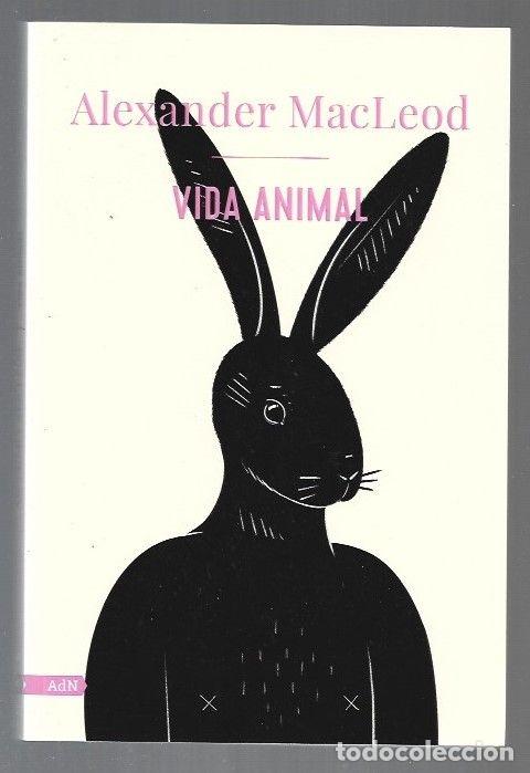 Libros: VIDA ANIMAL - MACLEOD, ALEXANDER - Foto 1