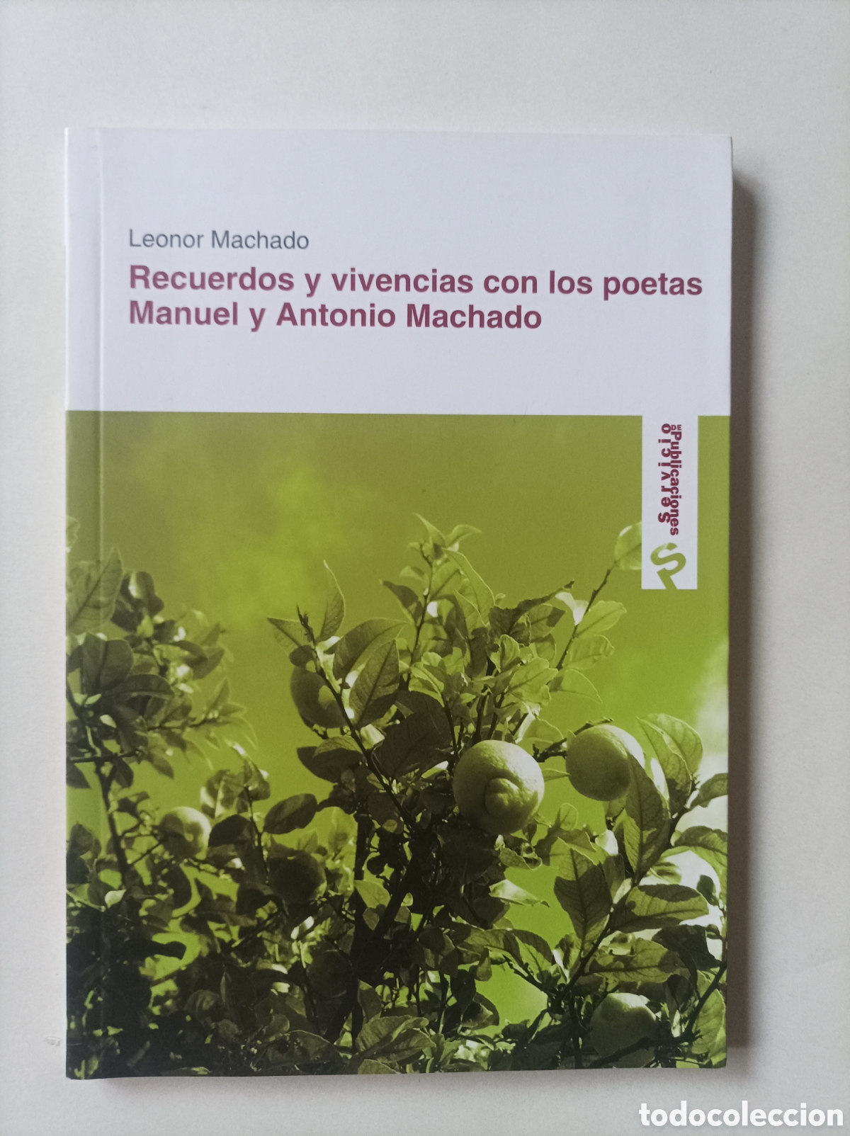 Libros: RECUERDOS Y VIVENCIAS CON LOS POETAS MANUEL Y ANTONIO MACHADO / Leonor Machado
