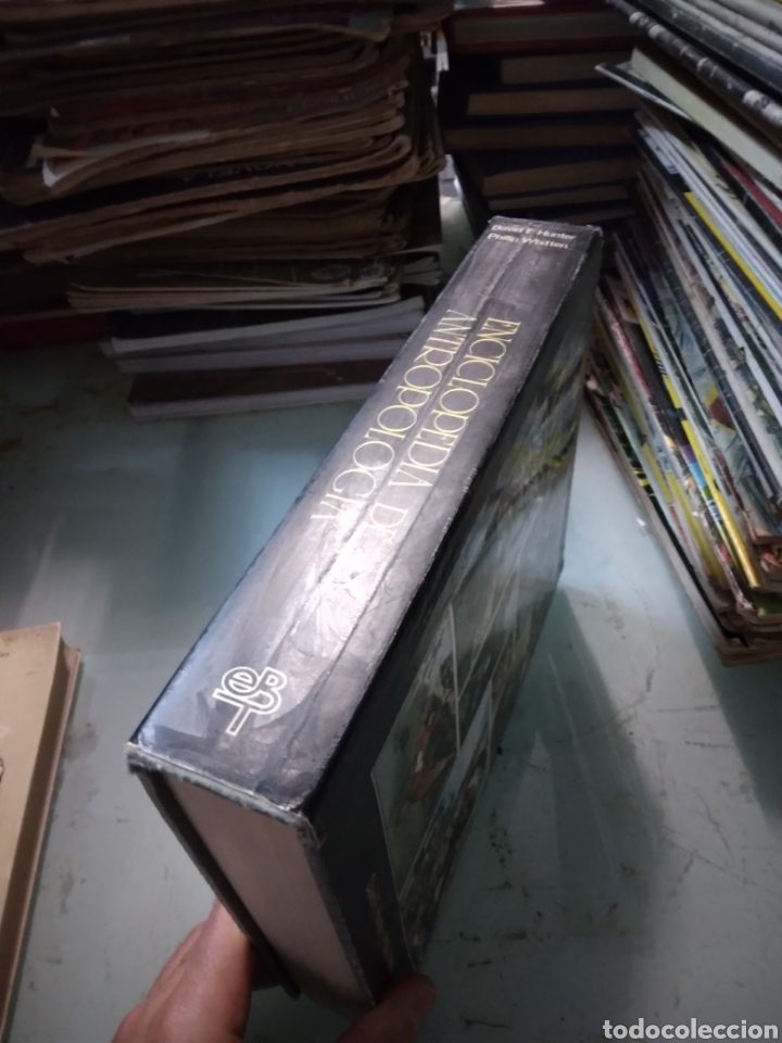 Libros: Enciclopedia de Antropolog&iacute;a, David E.Hunter - Foto 2