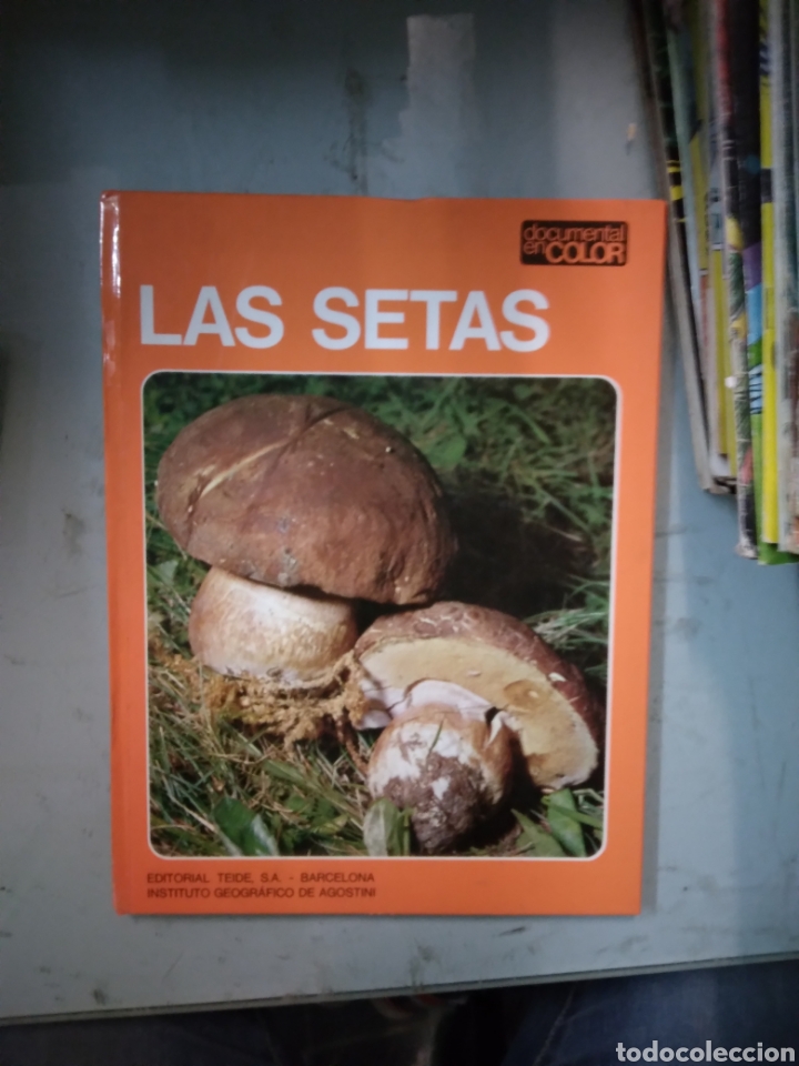 Libros: Las setas, Editorial Teide, - Foto 1