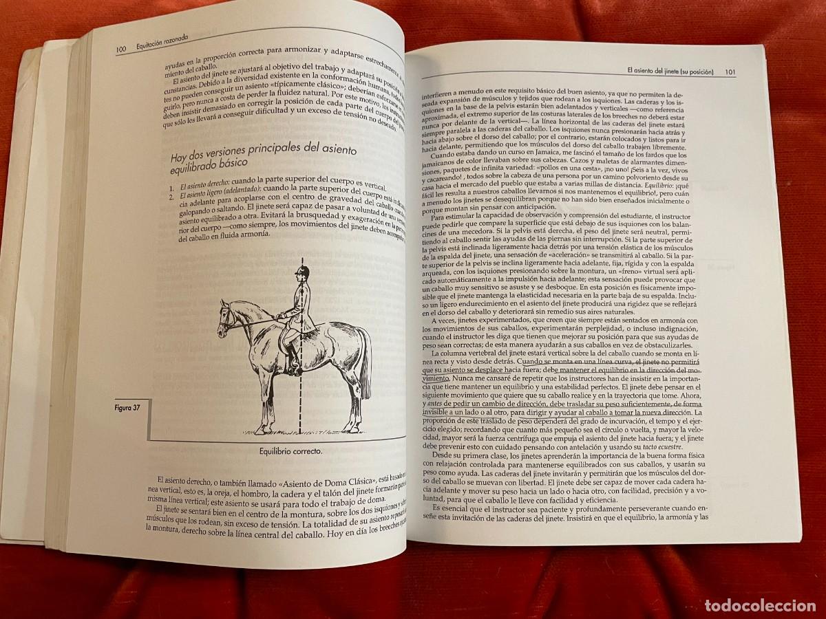 Libros: EQUITACI&Oacute;N. RAZONADA.MOLLY SIVEWRIGHT. TUTOR, 2004 - Foto 3