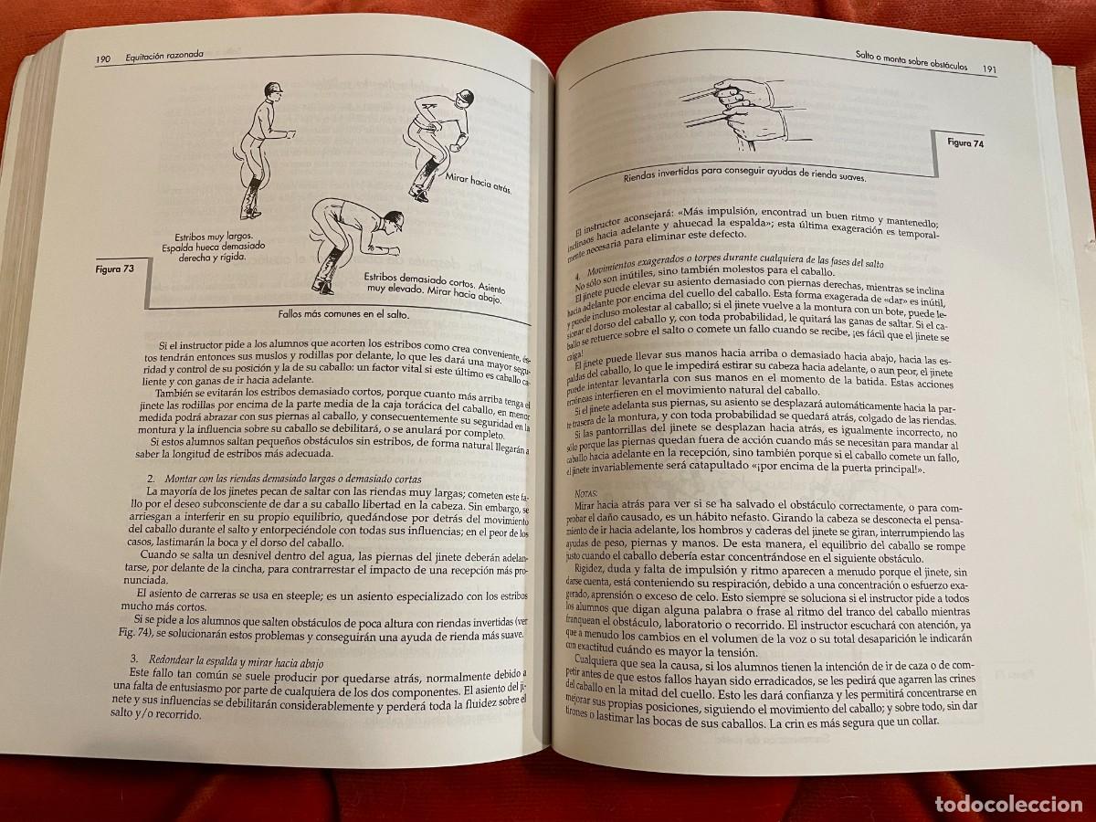 Libros: EQUITACI&Oacute;N. RAZONADA.MOLLY SIVEWRIGHT. TUTOR, 2004 - Foto 4