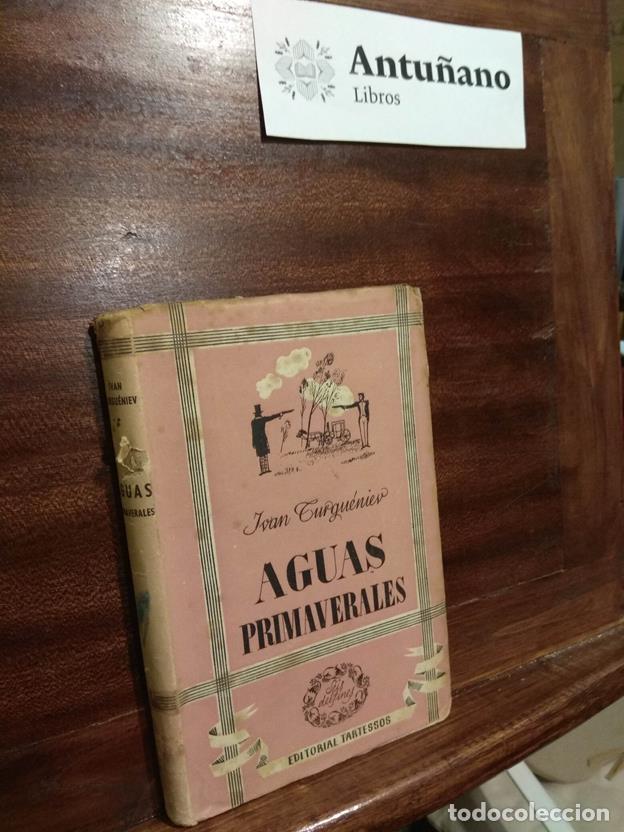 Libros: Aguas primaverales - Foto 1