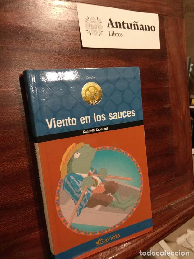 Libros: Viento en los sauces - Foto 1
