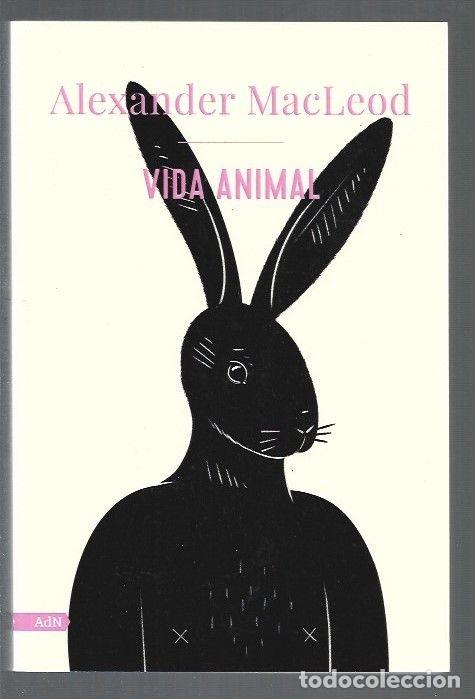 Libros: VIDA ANIMAL - MACLEOD, ALEXANDER - Foto 1