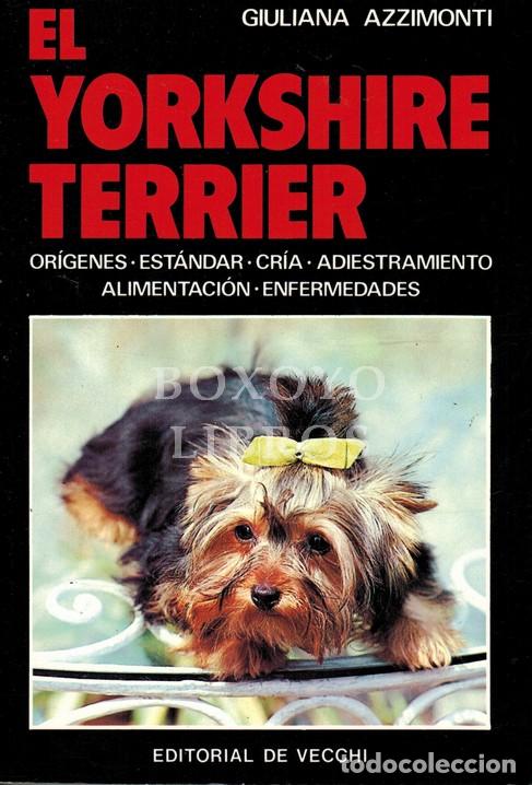 Libros: AZZIMONTI, Giuliana. El Yorkshire Terrier - Foto 1